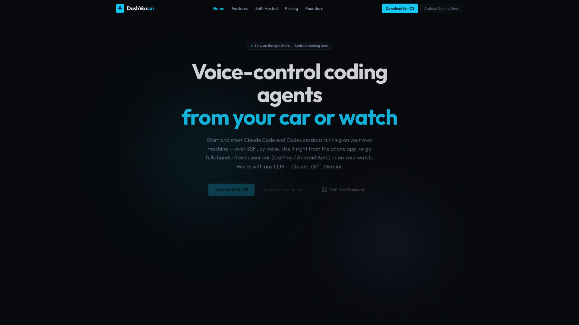 DashVox screenshot